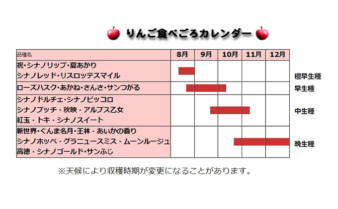 長野県下最大級 りんご狩り体験 りんご狩り発祥園 体験チケット 環境 優しい 安心 安全 こだわり 低農薬 有機肥料 循環型 定番 オリジナル 新品種　 |松井農園