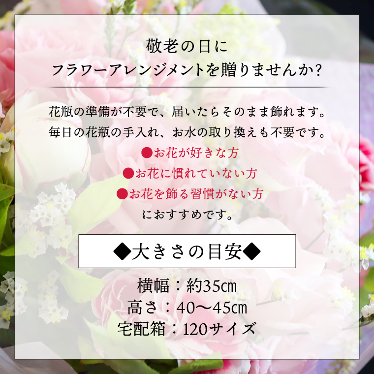 【 敬老の日 】 フラワー アレンジメント M 花色おまかせ ギフト プレゼント 花 お祝い 贈答 記念日 インテリア  [CT084ci]|Hanaclub