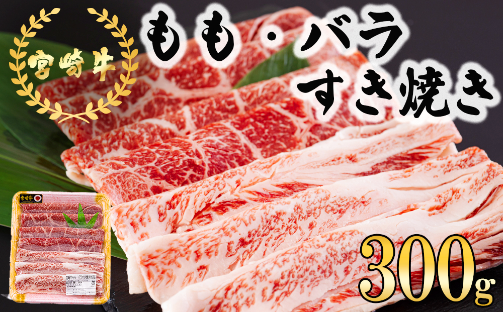 y{茧z{苍  o Ă 300g [{n}[PeBO {茧  31bd0022] Ⓚ  Y јa A5 A4 uh   ~  Ⴊ vRM r[tybp[CX {茧Y ̓ ̓ v[g Mtg 蕨 XC