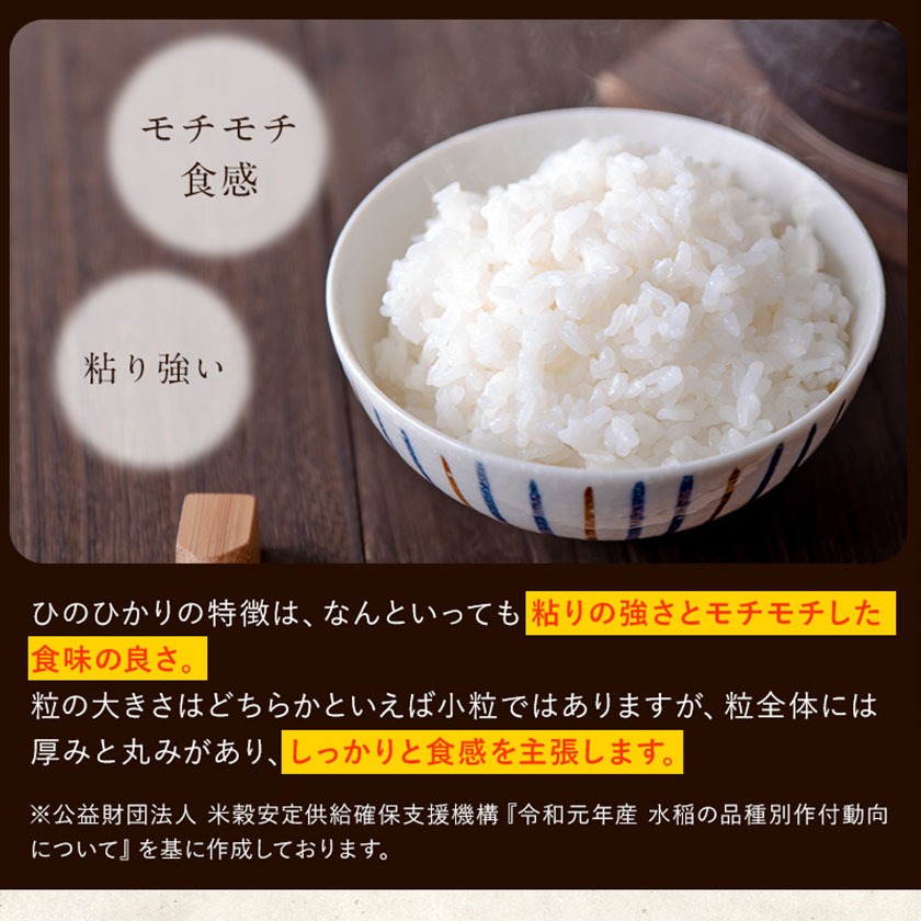 熊本県長洲町のふるさと納税 米 無洗米 令和6年産 新米 特A受賞品種 ひのひかり 森のくまさん 米 送料無料 選べる 内容量 10kg または 20kg 食べ比べ ヒノヒカリ 選べる 厳選 熊本県産(長洲町産含む) 米 お米 森くま 《7-14営業日以内に出荷予定(土日祝除く)》長洲町