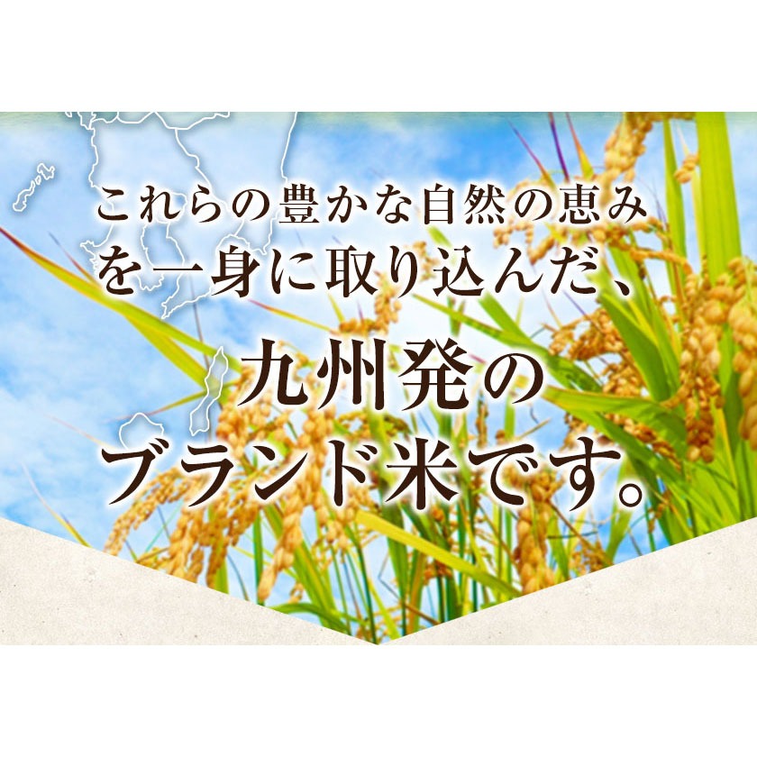 熊本県長洲町のふるさと納税 米 無洗米 令和6年産 新米 特A受賞品種 ひのひかり 森のくまさん 米 送料無料 選べる 内容量 10kg または 20kg 食べ比べ ヒノヒカリ 選べる 厳選 熊本県産(長洲町産含む) 米 お米 森くま 《7-14営業日以内に出荷予定(土日祝除く)》長洲町