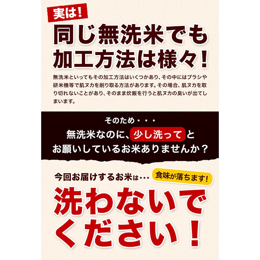 熊本県長洲町のふるさと納税 米 無洗米 令和6年産 新米 特A受賞品種 ひのひかり 森のくまさん 米 送料無料 選べる 内容量 10kg または 20kg 食べ比べ ヒノヒカリ 選べる 厳選 熊本県産(長洲町産含む) 米 お米 森くま 《7-14営業日以内に出荷予定(土日祝除く)》長洲町