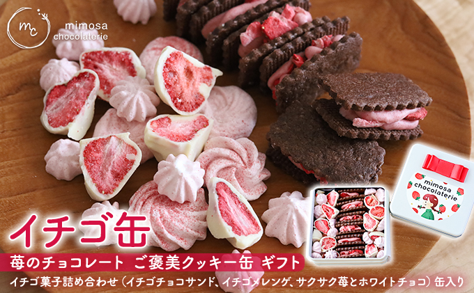 イチゴ缶 苺のチョコレート ご褒美クッキー缶 ギフト お菓子 焼菓子 詰め合わせ スイーツ チョコサンドクッキー ホワイトチョコ掛け メレンゲ  イチゴスイーツ|【チョコレート専門店】ミモザショコラトリー