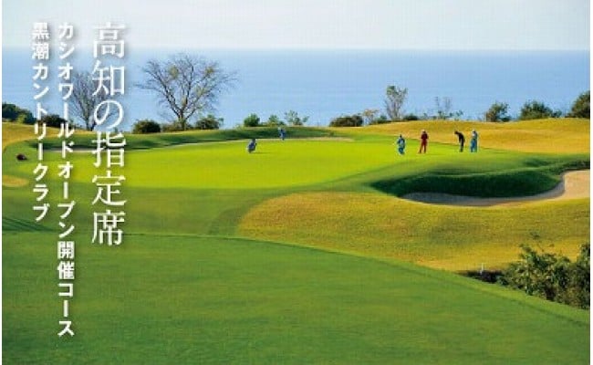 ふるさと納税 ゴルフ練習用・超高速パターマット90cm×5ｍと練習用具 高知県高知市 - 1
