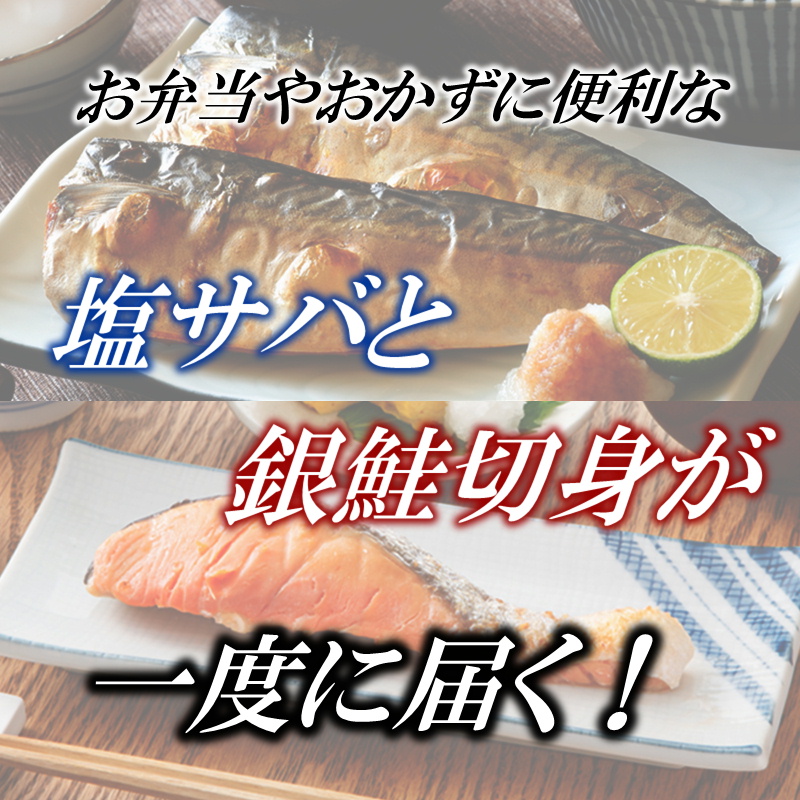 福岡県新宮町のふるさと納税 AB346.バラ凍結で便利！塩さば＆銀鮭ミックス（合計約2.5kg）