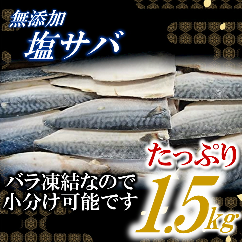 福岡県新宮町のふるさと納税 AB346.バラ凍結で便利！塩さば＆銀鮭ミックス（合計約2.5kg）