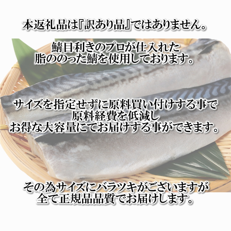 福岡県新宮町のふるさと納税 AB346.バラ凍結で便利！塩さば＆銀鮭ミックス（合計約2.5kg）