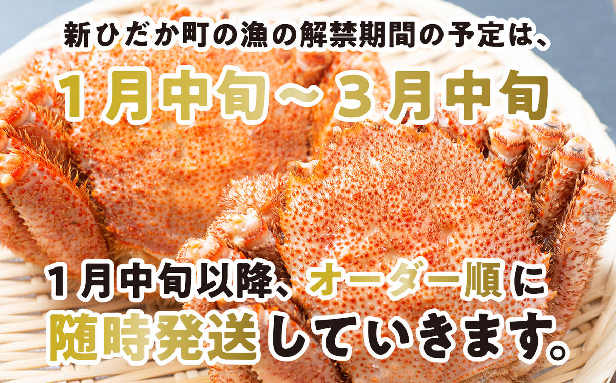 以上　毛ガニ　毛がに　かに　海鮮　新鮮　2尾　新鮮　カニ　浜ゆで　毛蟹　毛蟹　600g　北海道産　海産物　予約商品　けがに　＞　旬　北海道　冷蔵　ボイル　毛ガニ　浜茹で　2024年1月から順次発送＞　蟹　カニ味噌　旬　かに　＜　計　かに味噌