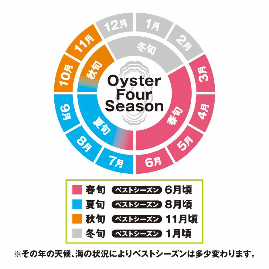 4月～6月配送 厚岸産　殻付カキ Lサイズ20個（生食用）牡蠣