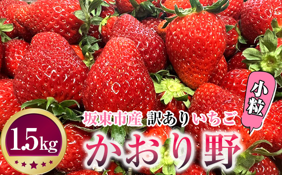 No.271 先行予約「坂東市産」訳ありいちご　かおり野　小粒や規格外品など詰め合わせ1.5kg　ジャムやイチゴミルクなどに|ストロベリーファーム