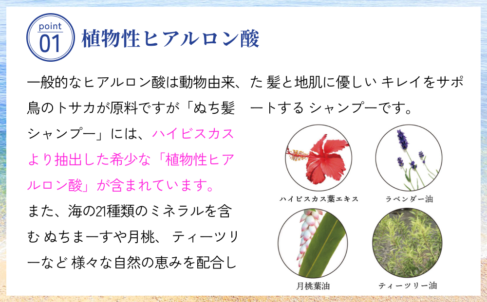 塩とハイビスカスのシャンプー「ぬち髪」×2本　ハイビスカス　ノンシリコン　ノンシリコンシャンプー　シャンプー　ぬちまーす　ヒアルロン酸　 植物性ヒアルロン酸　うるおい　潤い　ハリ　コシ　塩　パラベンフリー　月桃　艶　ティーツリー