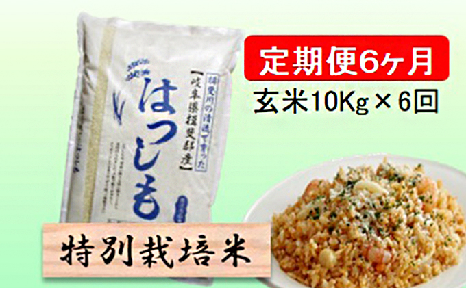 特別栽培米★[定期便] 6カ月★毎月 玄米10kg【ハツシモ】