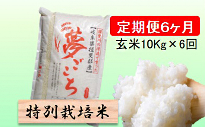 特別栽培米★[定期便] 6カ月★毎月 玄米10kg【夢ごこち】