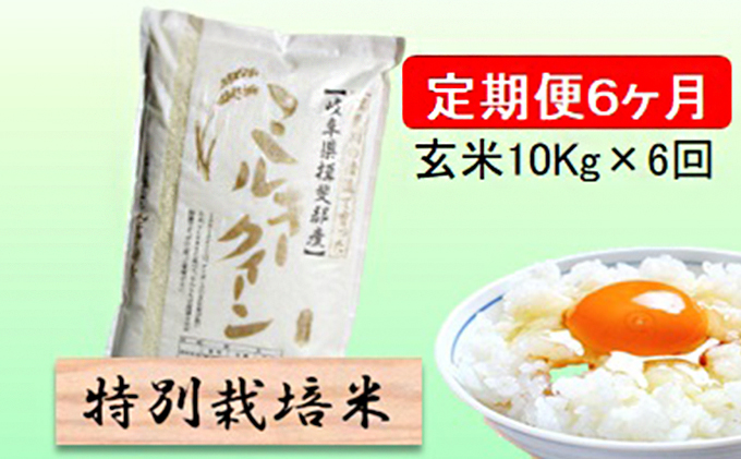特別栽培米★[定期便] 6カ月★毎月 玄米10kg【ミルキークイーン】