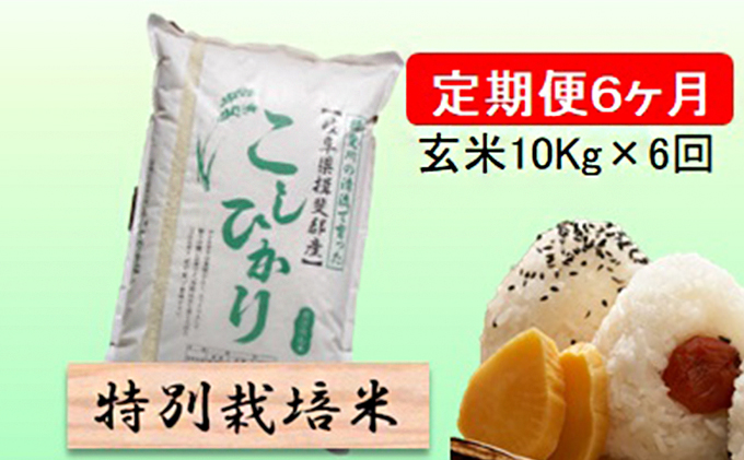 特別栽培米★[定期便] 6カ月★毎月 玄米10kg【コシヒカリ】