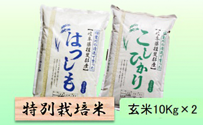 特別栽培米☆玄米20kg【ハツシモ・コシヒカリ】各10Kg（岐阜県池田町） ふるさと納税サイト「ふるさとプレミアム」