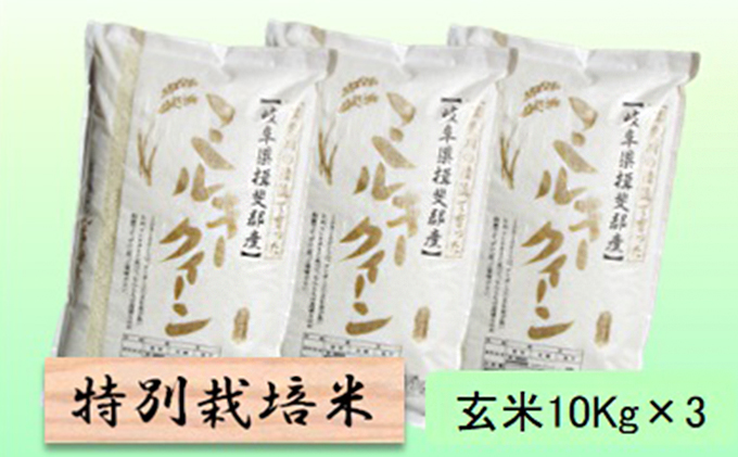 特別栽培米★玄米30kg【ミルキークイーン】10Kg×3