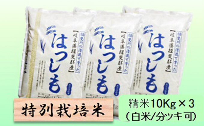 特別栽培米★精米30kg（白米/5分/7分ツキ可）【ハツシモ】 玄米は別に出品
