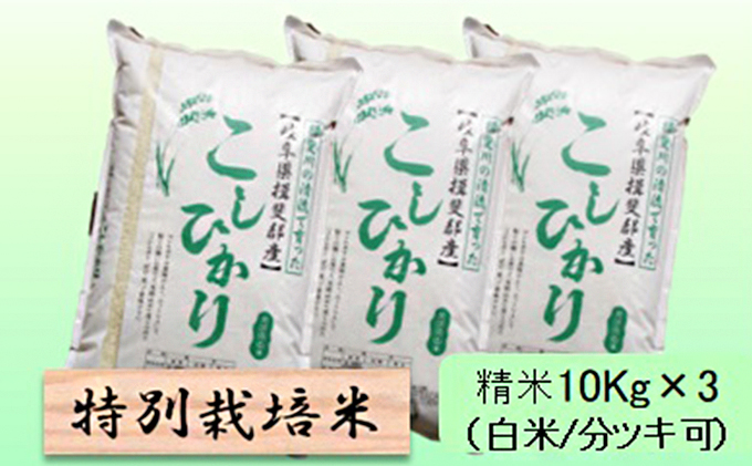 特別栽培米★精米30kg（白米/5分/7分ツキ可）【コシヒカリ】 玄米は別に出品