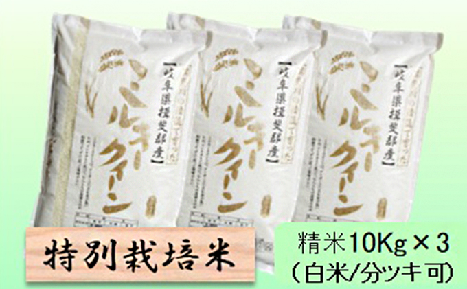 特別栽培米★精米30kg（白米/5分/7分ツキ可）【ミルキークイーン】 玄米は別に出品