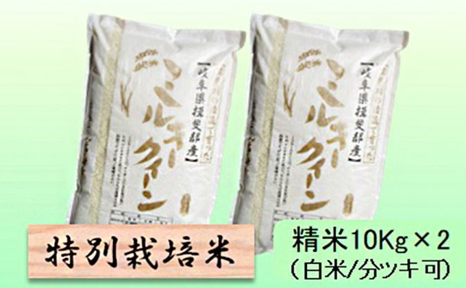 特別栽培米★精米20kg（白米/5分/7分ツキ可）【ミルキークイーン】 玄米は別に出品