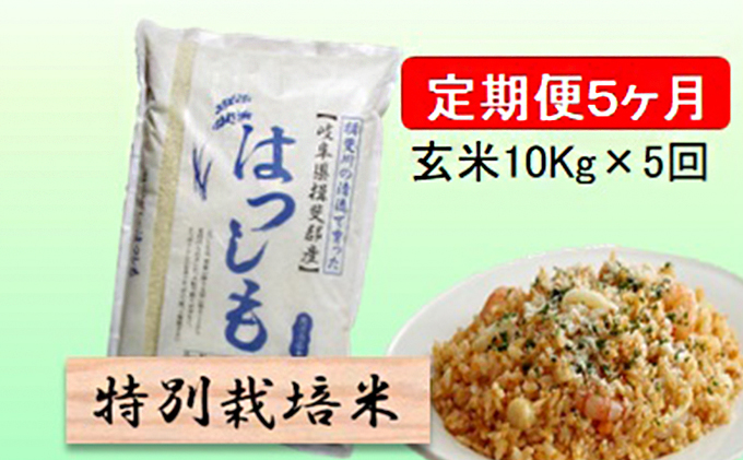 特別栽培米★[定期便] 5カ月★毎月 玄米10kg【ハツシモ】
