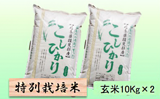 特別栽培米★玄米20kg 【コシヒカリ】10Kg×2