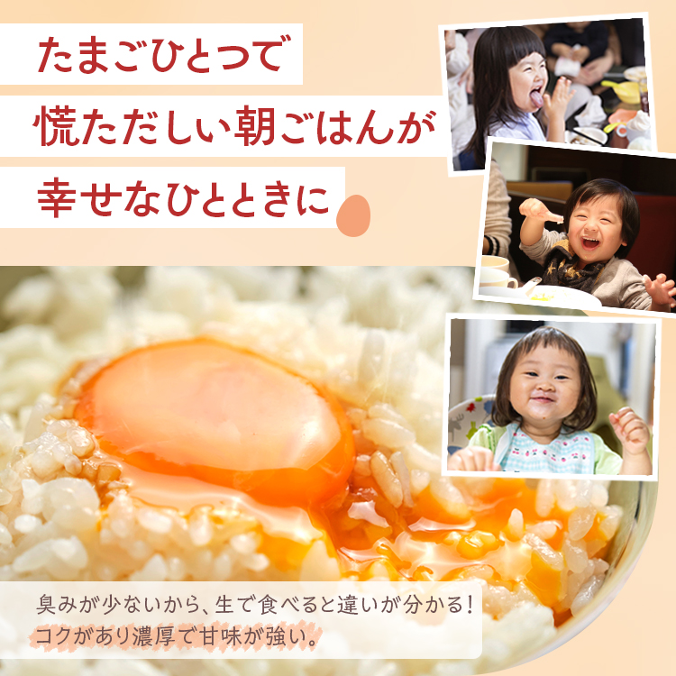 小久保ファーム 濃厚卵黄 産みたてたまご 赤玉30個入り（M玉） | 卵