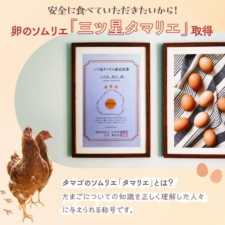 小久保ファーム 濃厚卵黄 産みたてたまご 赤玉30個入り（M玉） | 卵