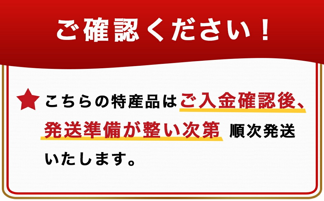 宮崎県都城市のふるさと納税 【グレー】「バックハグ枕」抱き枕・U字枕～抱かれる安心感 ～_13-J202-gr