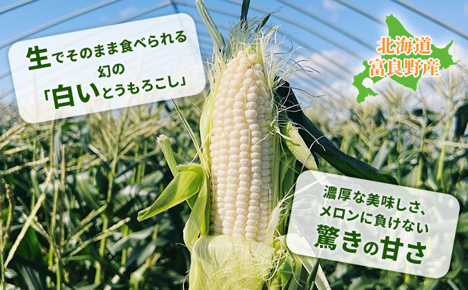 2025年夏発送】北海道 富良野産 ホワイトショコラ 2Lサイズ 10本