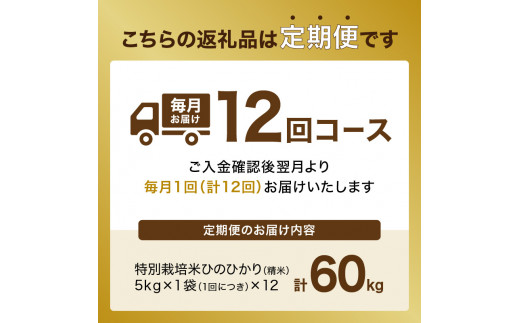京都府木津川市のふるさと納税 【定期便12か月】お米60kg（5kg×12回）特別栽培米
