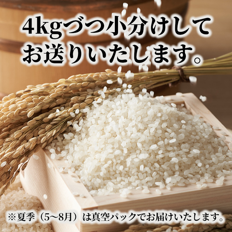 米 定期便 8kg 5ヶ月 コシヒカリ 広島県安芸高田市産 4kg×2袋 白米