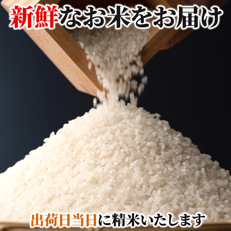 米 令和5年 ミルキークイーン 6kg 広島県安芸高田市産 白米 / 広島県