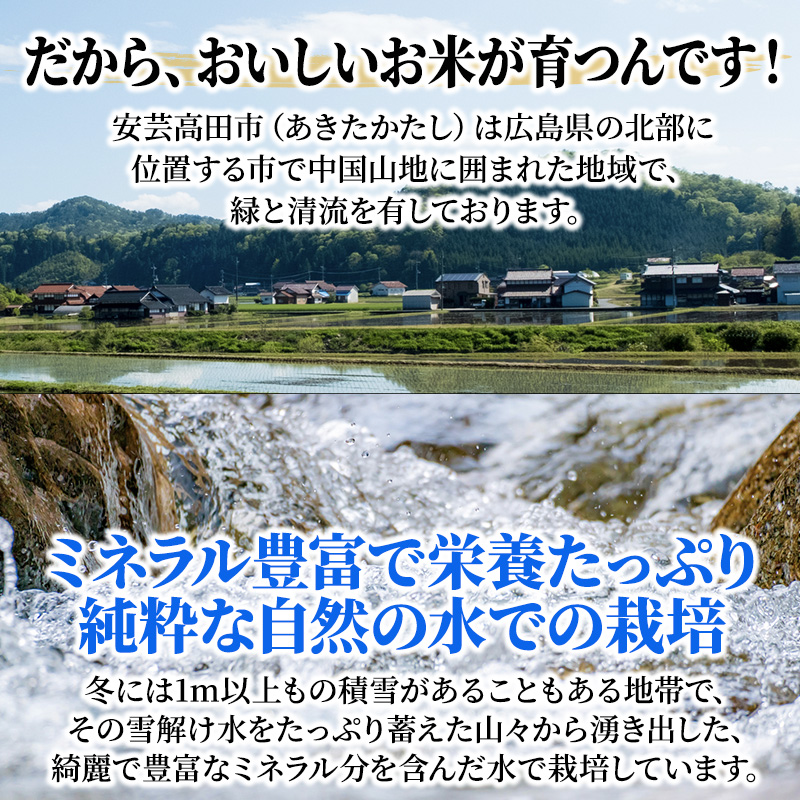 広島県安芸高田市のふるさと納税 米 定期便 6kg 5ヶ月 令和5年 ミルキークイーン 広島県安芸高田市産 白米 精米