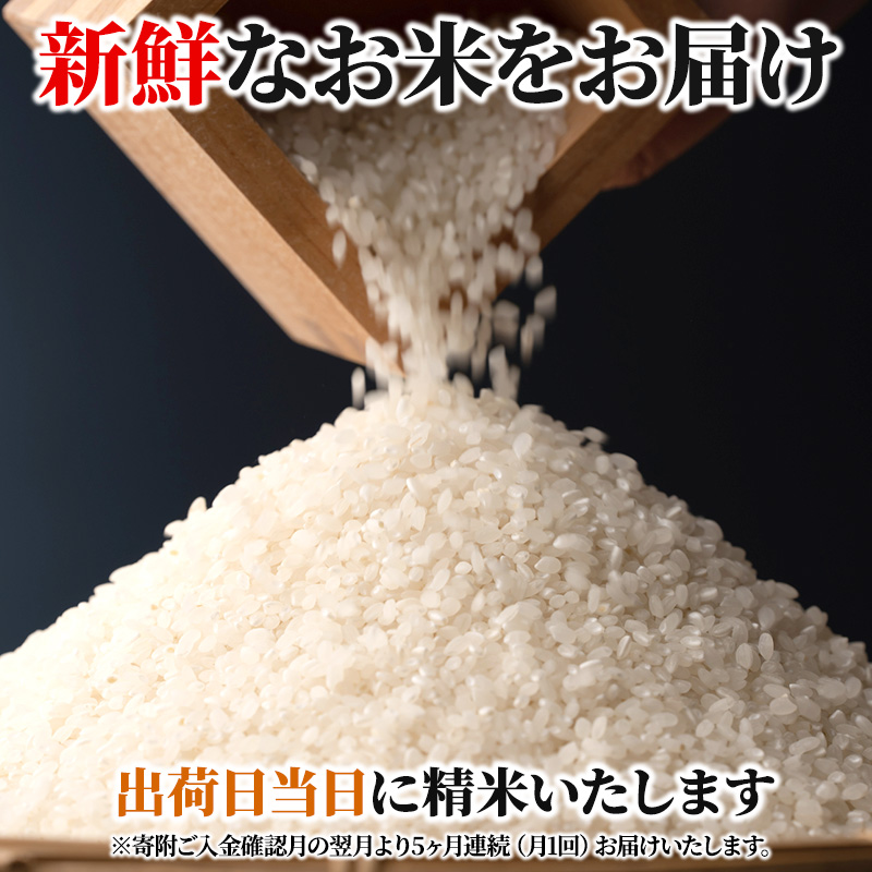 広島県安芸高田市のふるさと納税 米 定期便 6kg 5ヶ月 令和5年 ミルキークイーン 広島県安芸高田市産 白米 精米