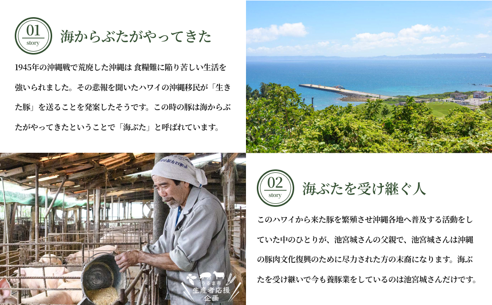 うるまの海ぶた 3種類セット（計1.5kg）（沖縄県うるま市） ふるさと納税サイト「ふるさとプレミアム」