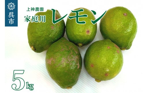 瀬戸内広島レモン♪ 5kg - 果物