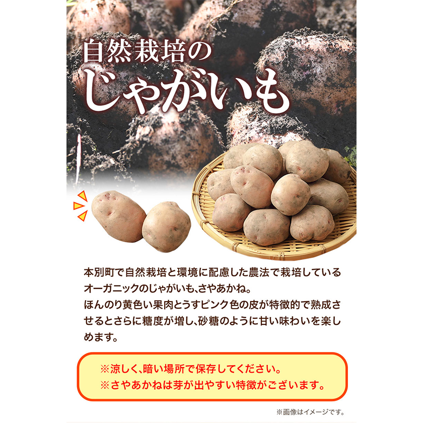 北海道本別町のふるさと納税 じゃがいも 北海道十勝 オーガニック じゃがいも 7kg サイズ S-2L《10月下旬-3月中旬頃より順次出荷》 オフイビラ源吾農場 送料無料 北海道 本別町 さやあかね 負箙源吾農場