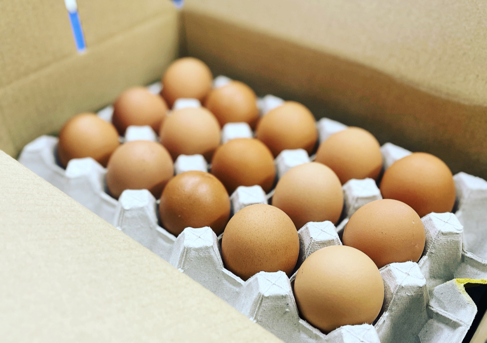 天王原のたまご】サクセス卵30個/ロイヤル卵30個（茨城県常総市