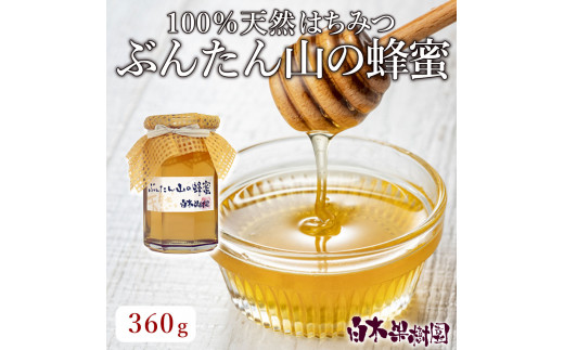 【高知県土佐市】爽やかな香り広がる100%天然蜂蜜 ぶんたん山の蜂蜜 360g はちみつ ハチミツ 高知県産 国産 天然はちみつ 土佐 高知 【白木果樹園】