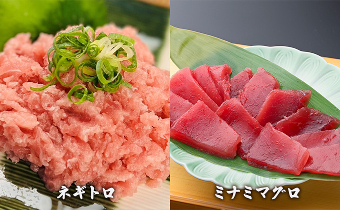 合計1kg（バチマグロ切落し・びん長マグロ・ミナミマグロ・ネギトロ　3回定期便】天然まぐろ食べ比べ4種セット　セゾンのふるさと納税　250g×各１袋）×3回【配送不可：離島】　静岡県浜松市