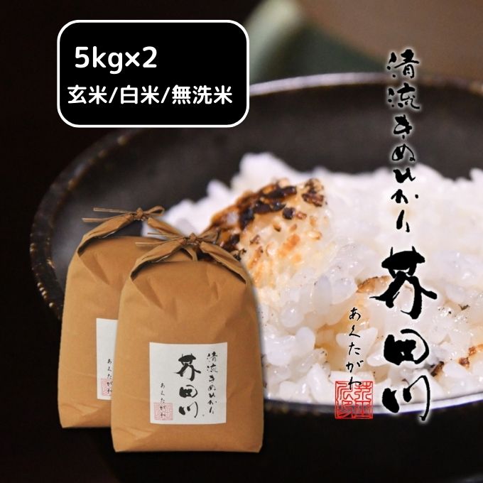 米 【令和5年産新米】 キヌヒカリ 10kg (5kg×2)精米 奥播州源流 芥田川