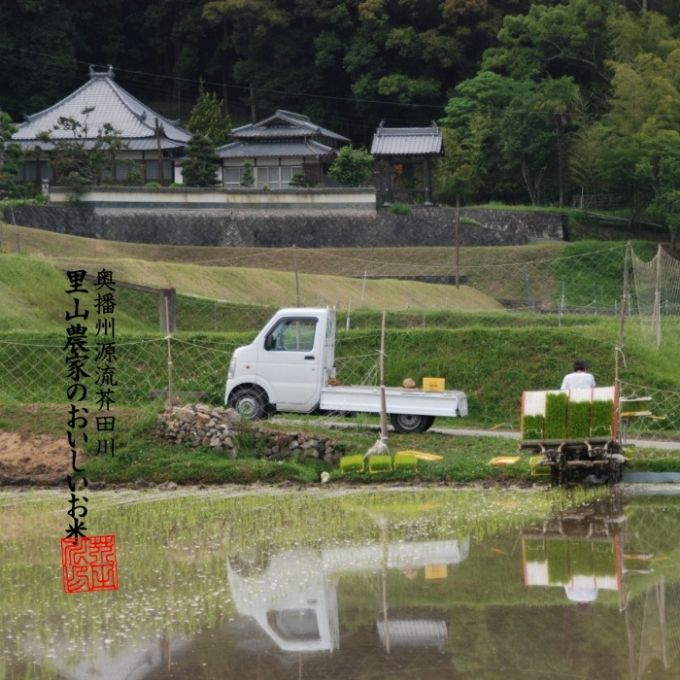 米 【新米 令和5年産】 ヒノヒカリ 5kg 精米 奥播州源流 芥田川産 芥