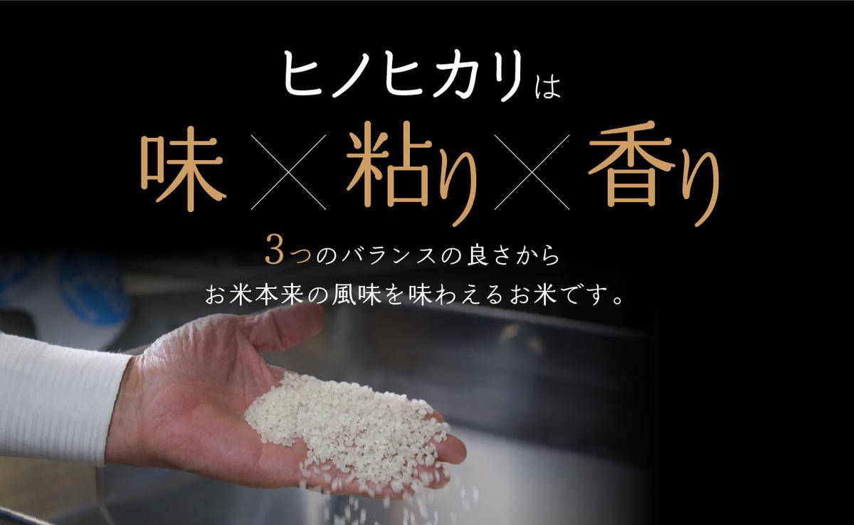 京都府木津川市のふるさと納税 【定期便6か月】お米30kg（5kg×6回）特別栽培米