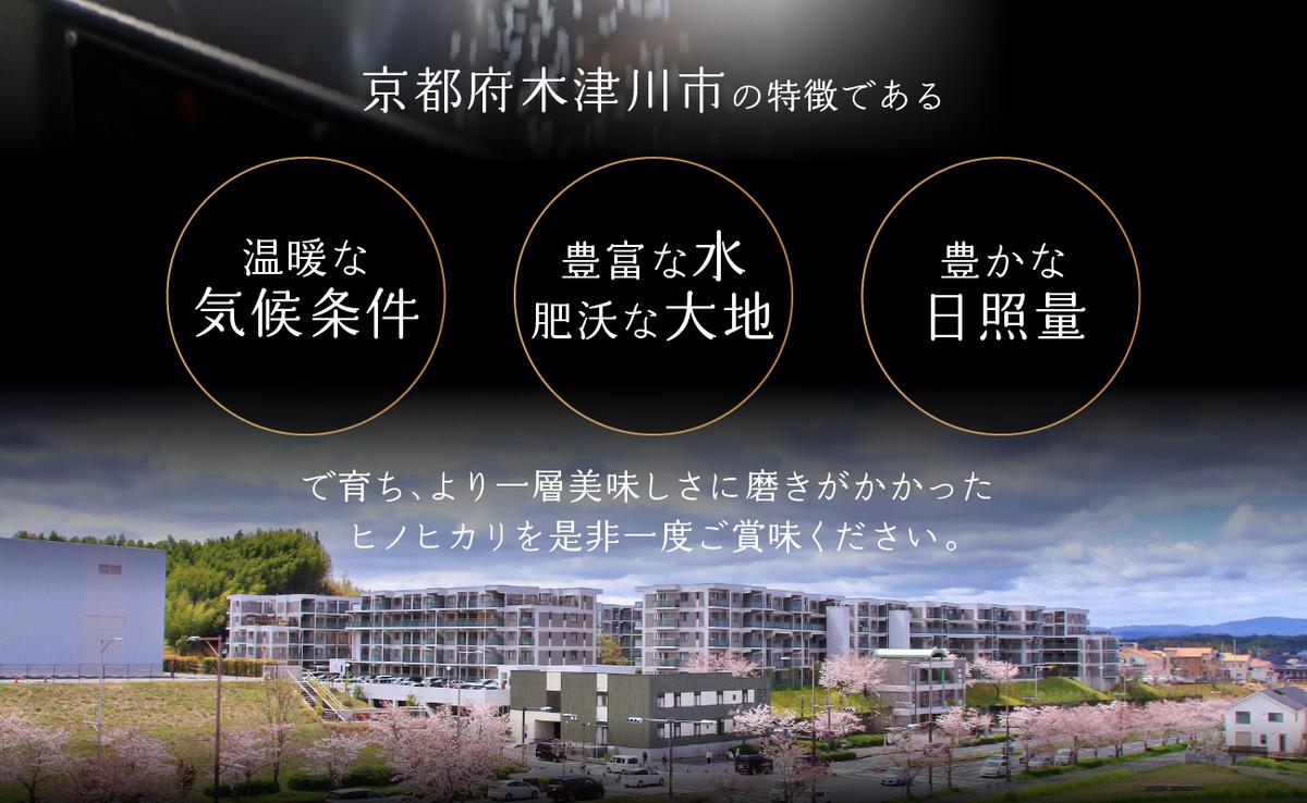 京都府木津川市のふるさと納税 【定期便6か月】お米30kg（5kg×6回）特別栽培米