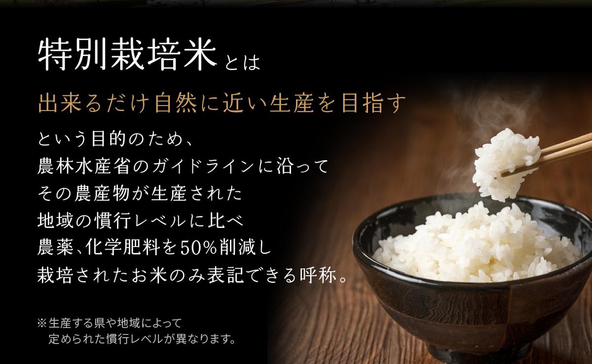 京都府木津川市のふるさと納税 【定期便6か月】お米30kg（5kg×6回）特別栽培米