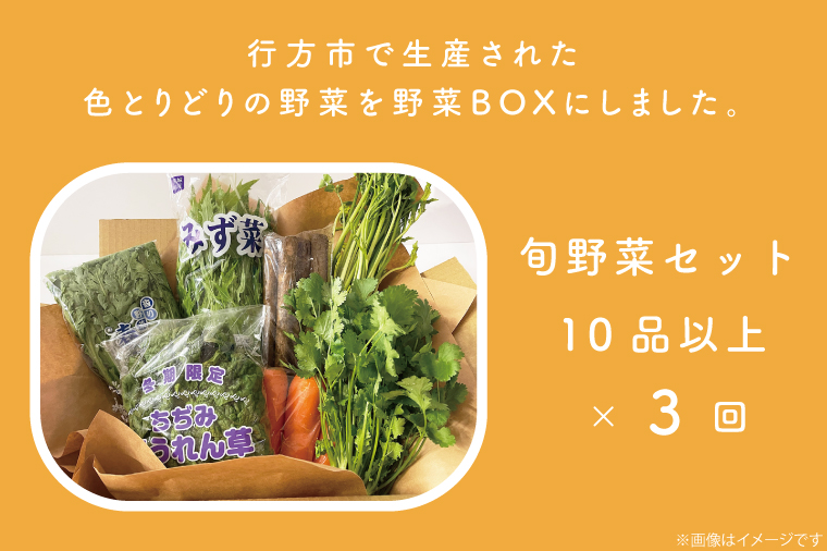 茨城県行方市のふるさと納税 CU-128　【3ヶ月定期便】野菜王国なめがたの旬野菜の定期便