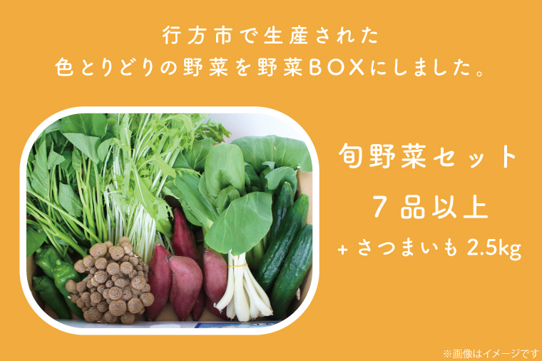 茨城県行方市のふるさと納税 CU-131　野菜王国なめがたの旬野菜便（さつまいも入り）