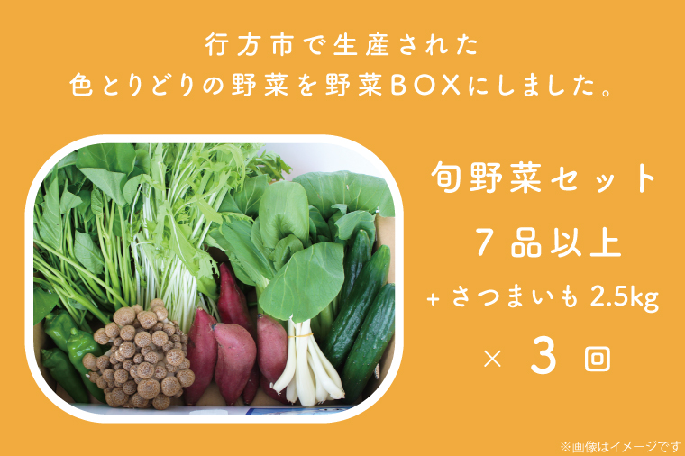 茨城県行方市のふるさと納税 CU-132　【3ヶ月定期便】野菜王国なめがたの旬野菜の定期便（さつまいも入り）